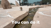 You Can Do It Dog GIF