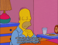 homer simpson episode 13 GIF