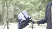 umbrella GIF