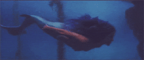 mermaid hook GIF