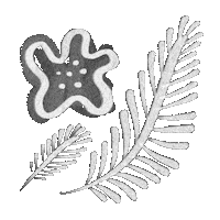Flower Plant Sticker
