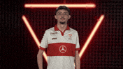 Vfb Stuttgart Cheering GIF by Bundesliga
