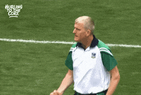 Hurling Bge GIF by Bold Studios