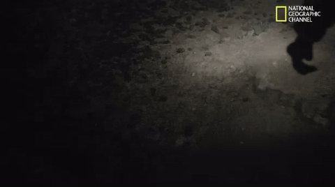 mars GIF by National Geographic Channel