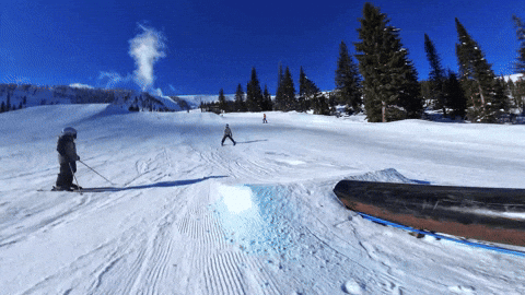 Ski Skiing GIF