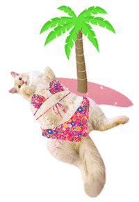 Cat Summer Sticker