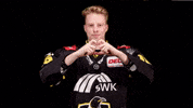 Hockey Del2 GIF by Krefeld Pinguine