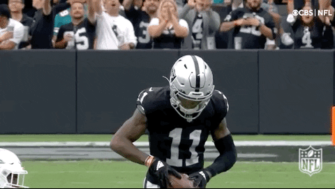 Las Vegas Raiders Football GIF by NFL