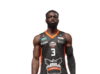 brite carcarÃ¡ Sticker by Basquete Cearense