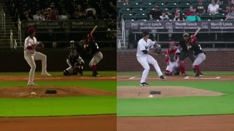 tesstass giphyupload GIF