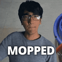 Slang Mop GIF