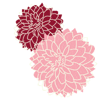 Flowers Thanksgiving Sticker by Packed Party