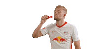 Konrad Laimer Fun Sticker by RB Leipzig