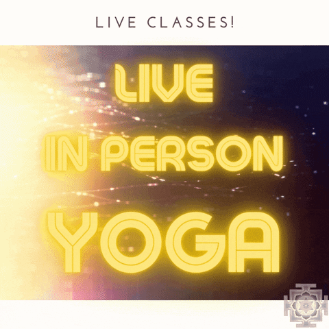 magpie5 giphyupload GIF