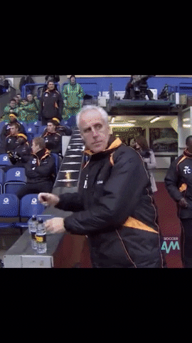 King_Barra1202 wolves mick mccarthy GIF
