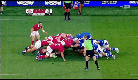 lorenzocalamai giphyupload GIF