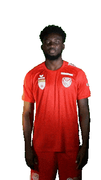 KSV1919 kapfenberg ksv1919 nzi olivier nzi Sticker