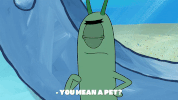 season 9 safe deposit krabs GIF by SpongeBob SquarePants