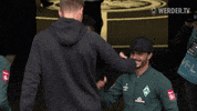 Football Greeting GIF by SV Werder Bremen