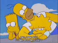 homer simpson GIF
