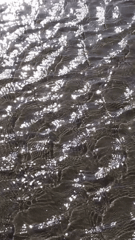 Simongip giphyupload GIF