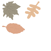Falling Leaves Illustration Sticker