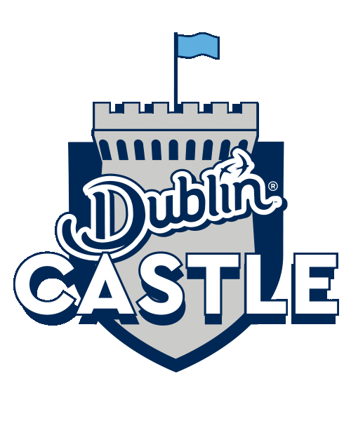 Dublin Castle Sticker by Discover Ireland