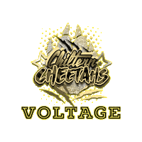 Cheerleading Voltage Sticker by Chiltern Cheetahs