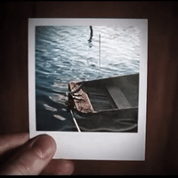 travel motion GIF by The Videobook