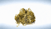 Smoke Hookah GIF by Meduza