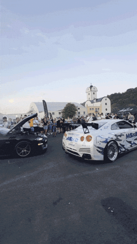 Rangertrooper GIF by Weaver Car Storage