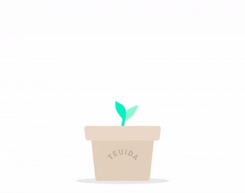 Plant Grow GIF by Teuida
