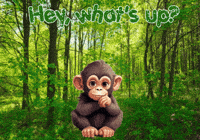 Monkey Expressions GIF