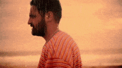 youngthegiant young the giant heat of the summer GIF