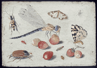 art history painting GIF by Art UK