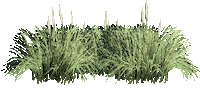 grass STICKER