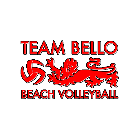 Sport Play Sticker by Aurora Beach Volleyball