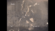 Let Me Work Hip Hop GIF by J.I.D.