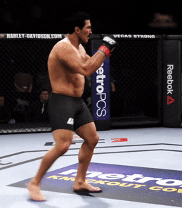 fight GIF by EA SPORTS UFC