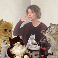 GIF by GIPHY CAM