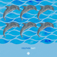 dolphin day GIF by CBC