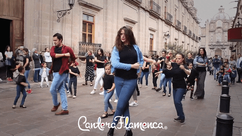 canteraflamenca giphyupload baile flamenco morelia GIF