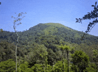 Akhil GIF