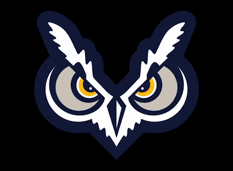 oregon tech owls GIF by Oregon Tech Athletics