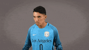 Mens Soccer GIF by Cal State LA Golden Eagles