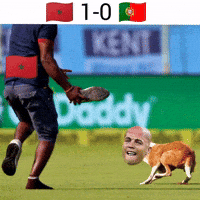 Morocco Pessi GIF