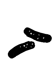 Grill Piknik Sticker by Lidl Slovenija