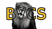 bvcslions bvcs big valley Sticker