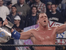 Royal Rumble Wrestling GIF by WWE