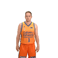 Liga Endesa Basketball Sticker by ACB